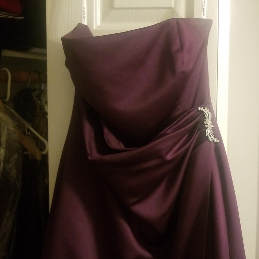 David's bridal dress in Plum Size 12